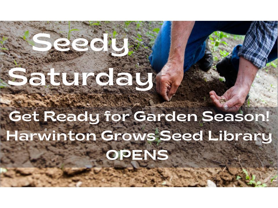 Seedy Saturday