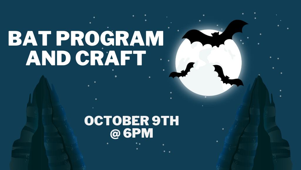 Bat Program